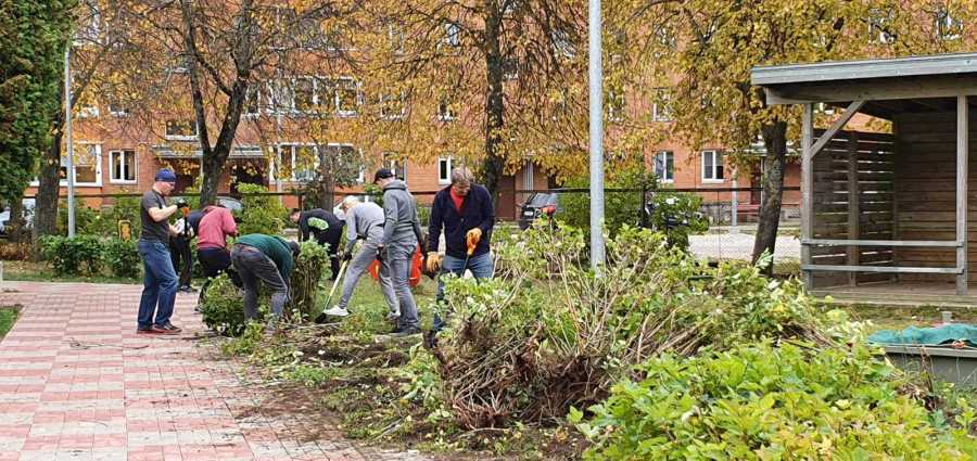 Vabatahtlikud Swedbankist aitasid Sillamäe lasteaeda Päikseke õueala haljastamisel 5.10.2022