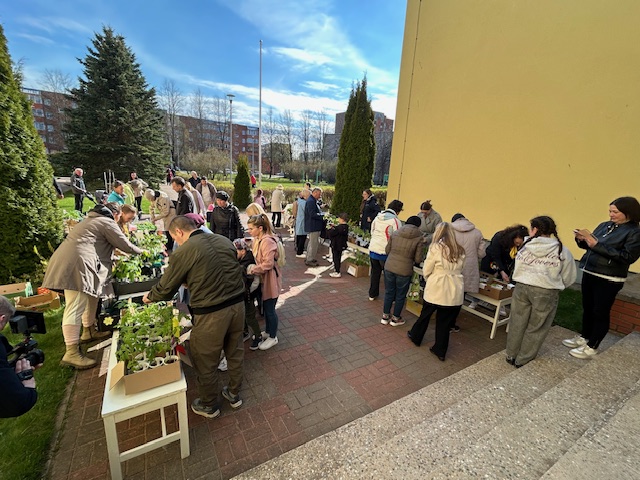 Kevadine aialaat