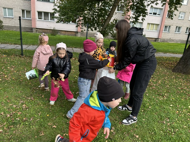 Maailmakoristuspäev 2026